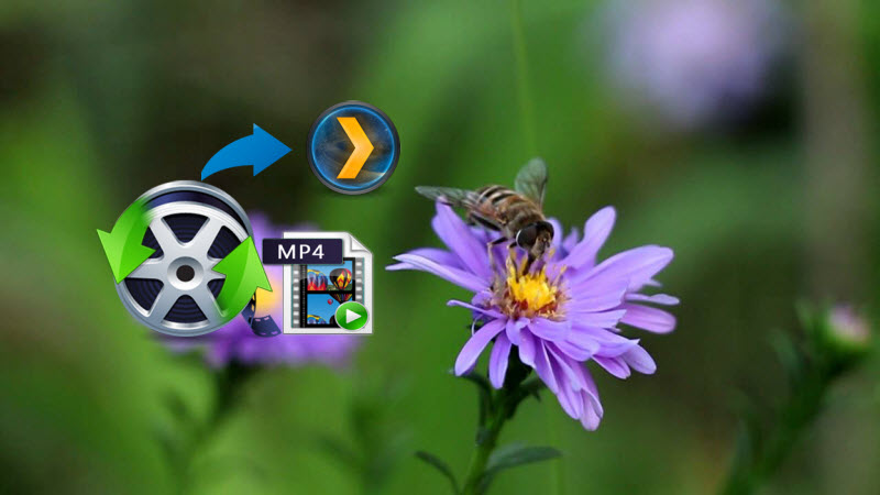 What if Plex Server not reading certain MP4 files?