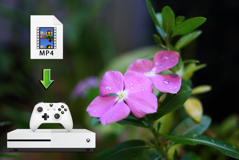 How to Play MP4 files on Xbox One S without Any Problem