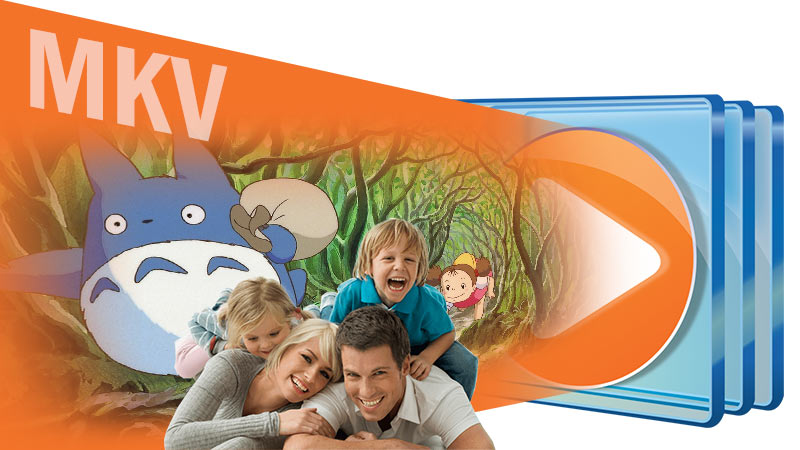 How to Fix Windows Media Player Won't Play MKV files?