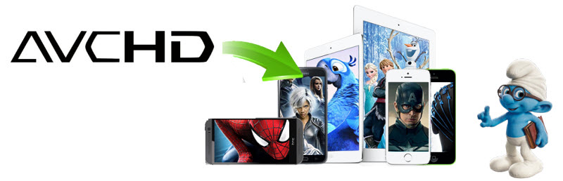 What Is AVCHD - AVCHD Description, AVCHD Converter, Player, etc.